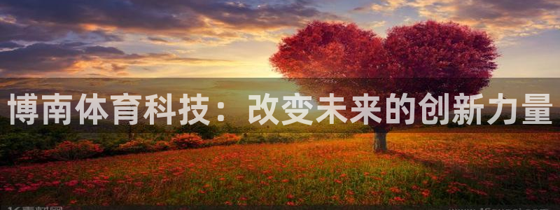 博南体育科技：改变未来的创新力量