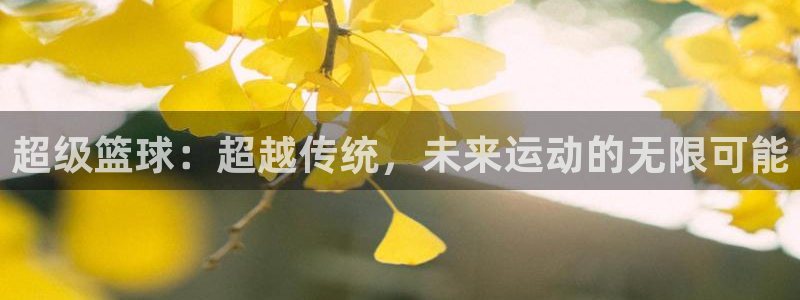 超级篮球：超越传统，未来运动的无限可能