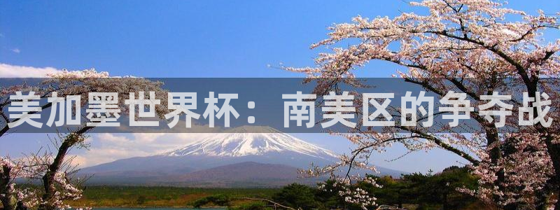 美加墨世界杯：南美区的争夺战