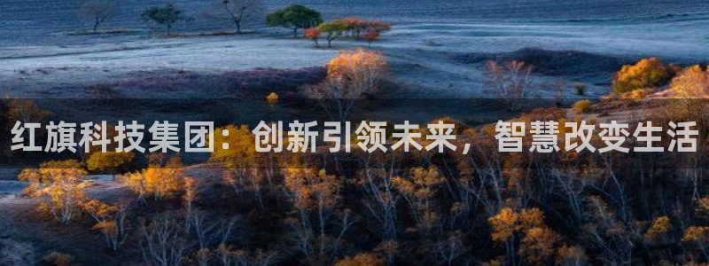 红旗科技集团：创新引领未来，智慧改变生活