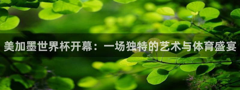 美加墨世界杯开幕：一场独特的艺术与体育盛宴