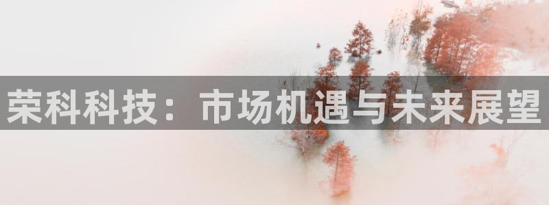荣科科技：市场机遇与未来展望