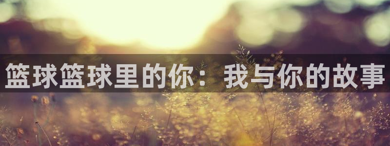 篮球篮球里的你：我与你的故事