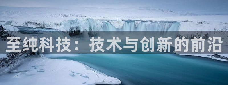 至纯科技：技术与创新的前沿