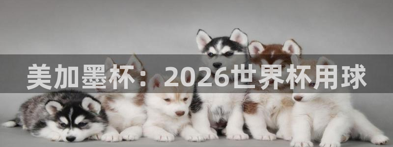 美加墨杯：2026世界杯用球