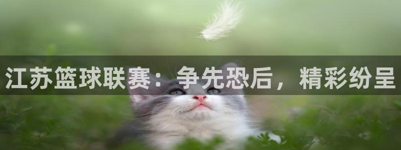 江苏篮球联赛：争先恐后，精彩纷呈