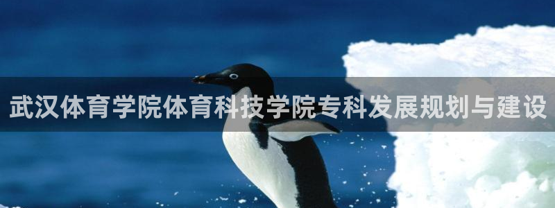 武汉体育学院体育科技学院专科发展规划与建设