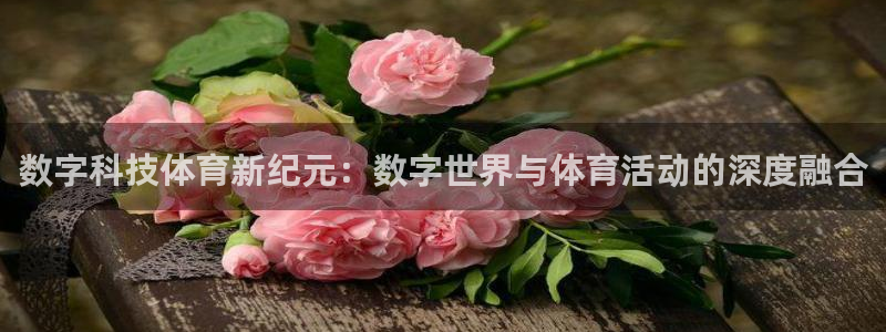 数字科技体育新纪元：数字世界与体育活动的深度融合