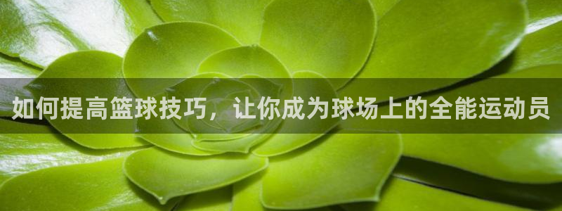 如何提高篮球技巧，让你成为球场上的全能运动员