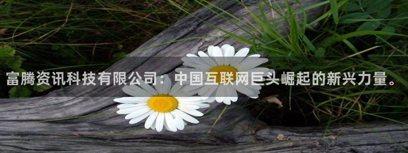 富腾资讯科技有限公司：中国互联网巨头崛起的新兴力量。