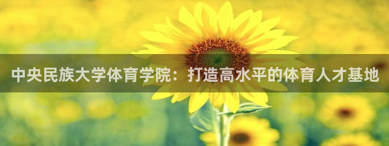 中央民族大学体育学院：打造高水平的体育人才基地