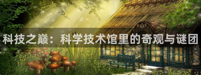 科技之巅：科学技术馆里的奇观与谜团