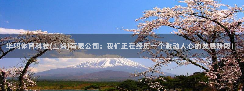 华羽体育科技(上海)有限公司：我们正在经历一个激动人心的发展阶段！