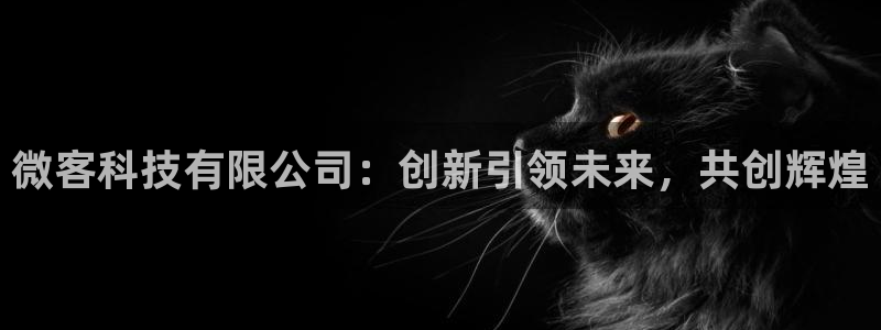 微客科技有限公司：创新引领未来，共创辉煌