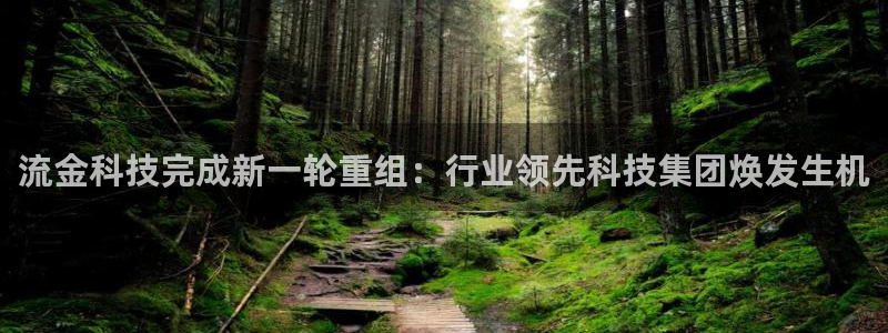 流金科技完成新一轮重组：行业领先科技集团焕发生机