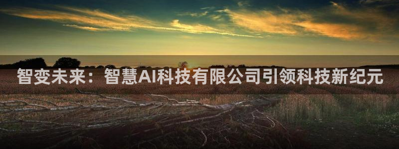 智变未来：智慧AI科技有限公司引领科技新纪元