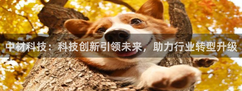 中材科技：科技创新引领未来，助力行业转型升级