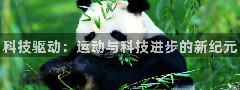 科技驱动：运动与科技进步的新纪元