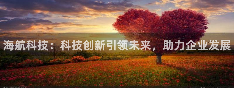 海航科技：科技创新引领未来，助力企业发展