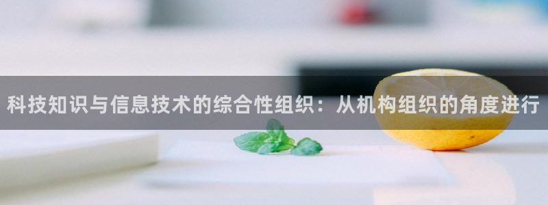 科技知识与信息技术的综合性组织：从机构组织的角度进行