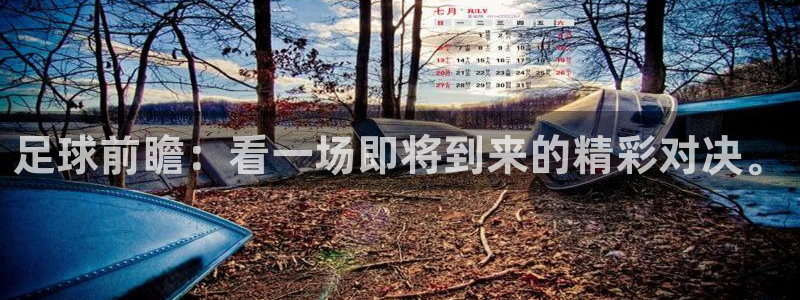足球前瞻：看一场即将到来的精彩对决。